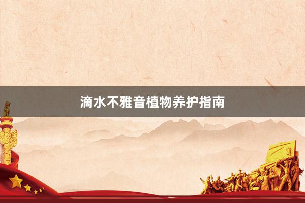 滴水不雅音植物养护指南