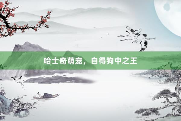 哈士奇萌宠，自得狗中之王