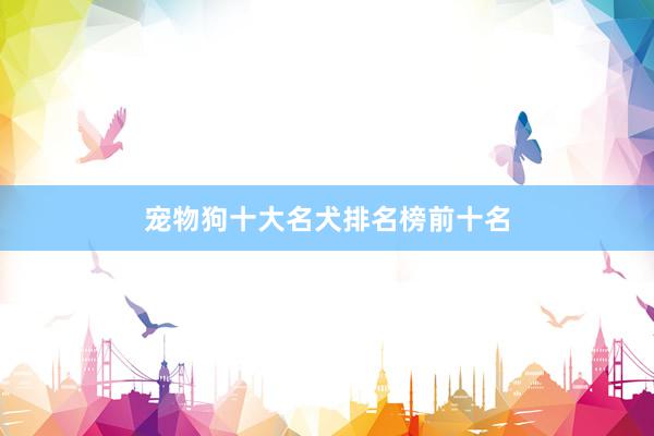 宠物狗十大名犬排名榜前十名